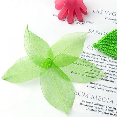 Natural Catbrier Skeleton Leav - Craft Embellishments recensie en prijs