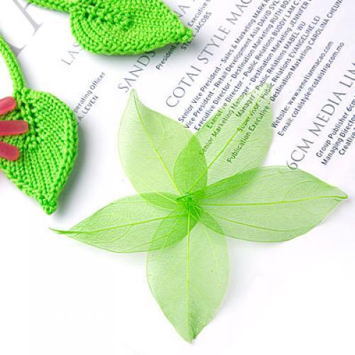 Natural Catbrier Skeleton Leav - Craft Embellishments recensie en prijs
