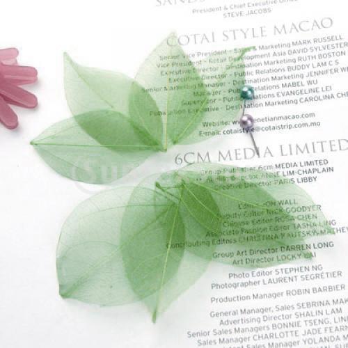 Natural Catbrier Skeleton Leav - Craft Embellishments recensie en prijs