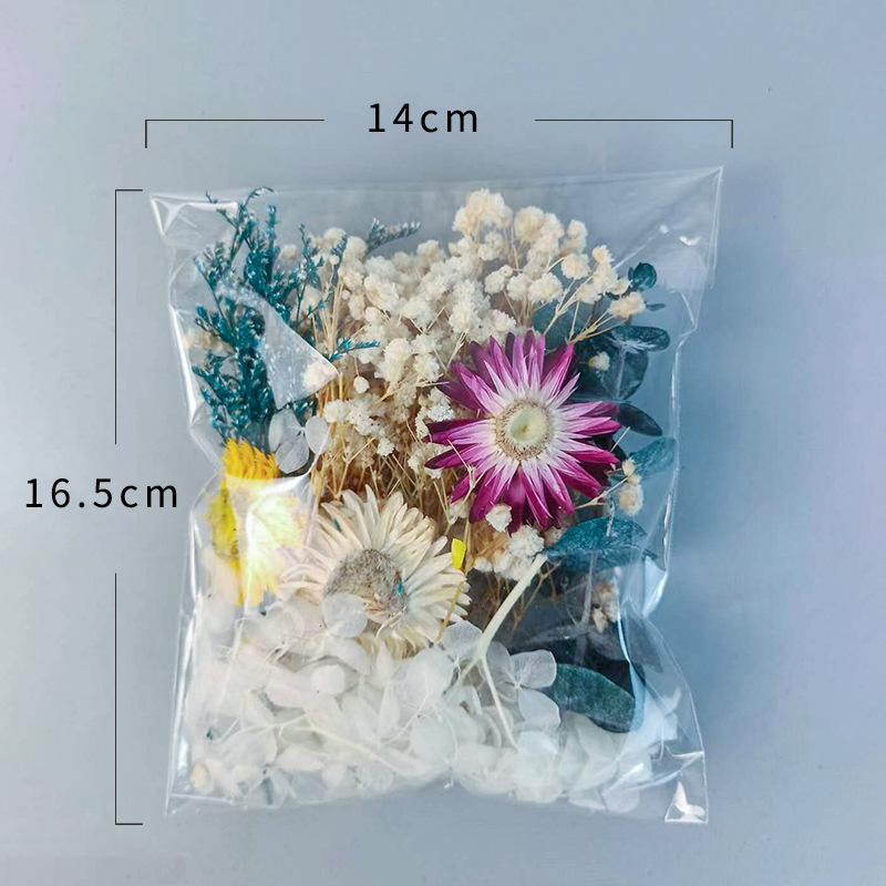 1pack Multifarious Dried Flowe - Craft Embellishments recensie en prijs