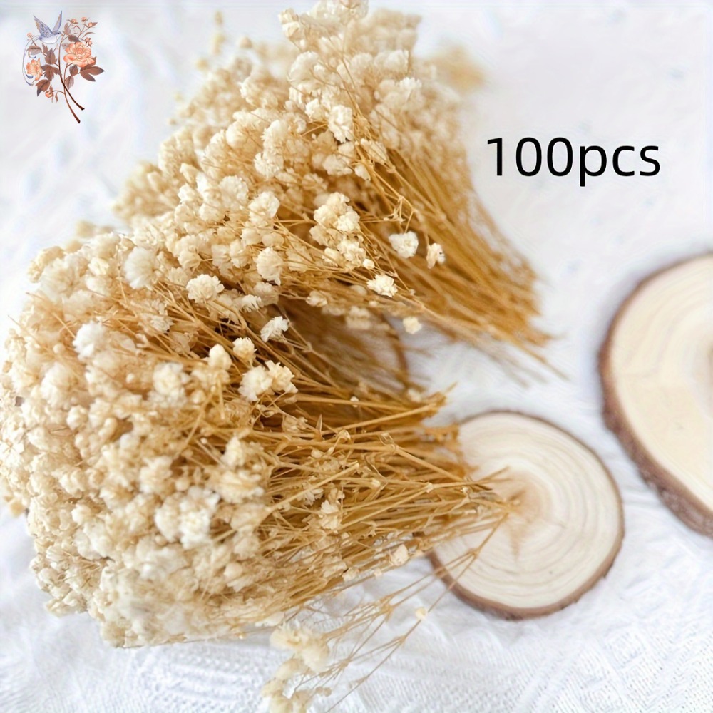 100pcs Mini Dried Baby's Breat - Craft Embellishments recensie en prijs