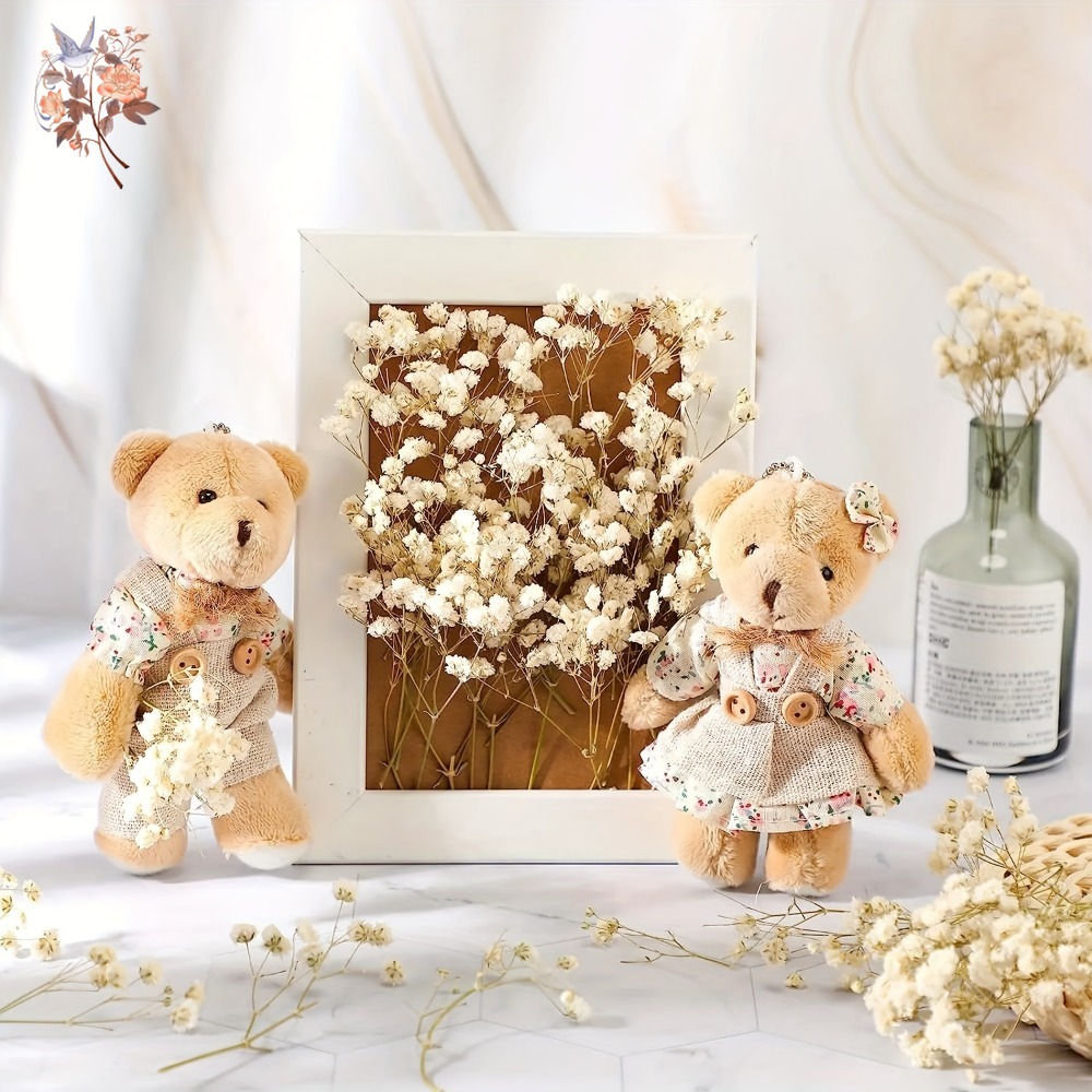 100pcs Mini Dried Baby's Breat - Craft Embellishments recensie en prijs